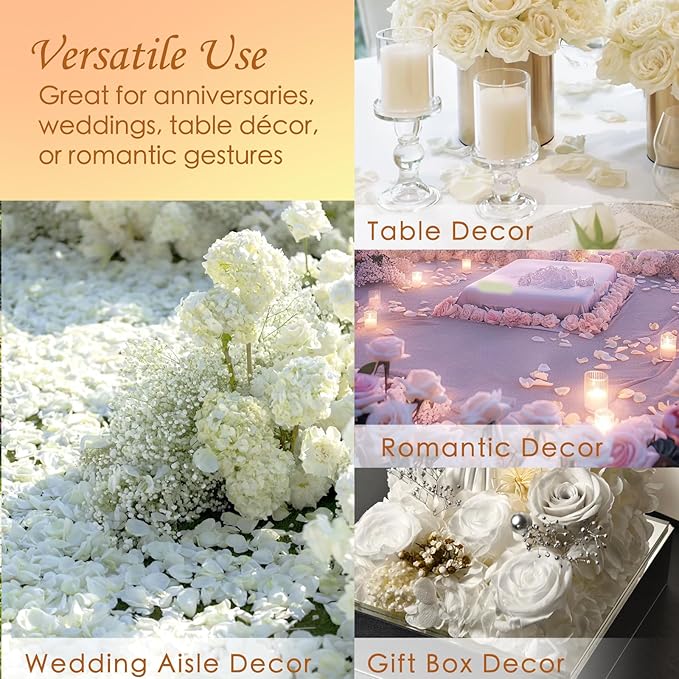 Real White Rose Petals for Weddings, 1.75oz Freeze Dried Preserved Flower Petals for Flower Girl, Table Scatter, Romantic Proposal Décor, Biodegradable Party Confetti (50g)