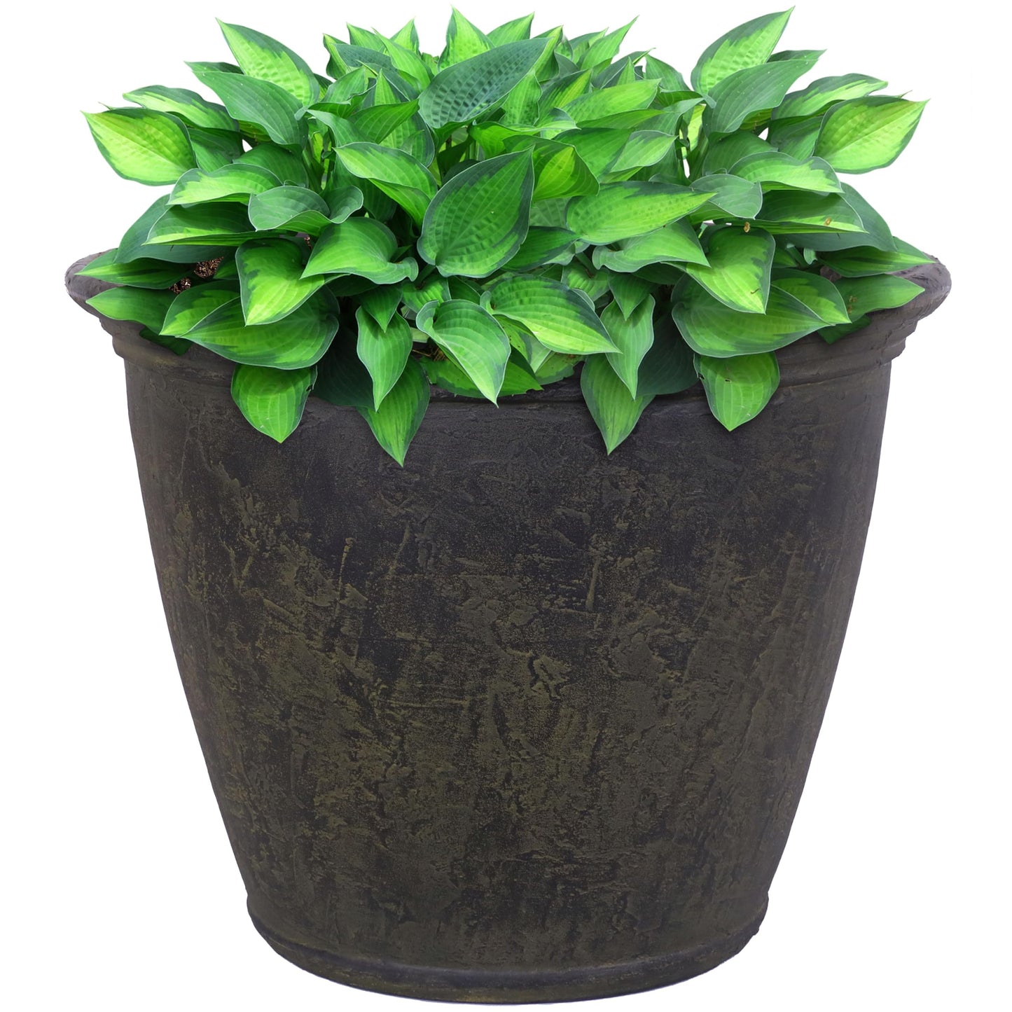 Sunnydaze 24-Inch Anjelica Large Plastic Pot for Plants - Outdoor Double-Walled Large Plastic Planter with Drillable Drainage Holes - Sable