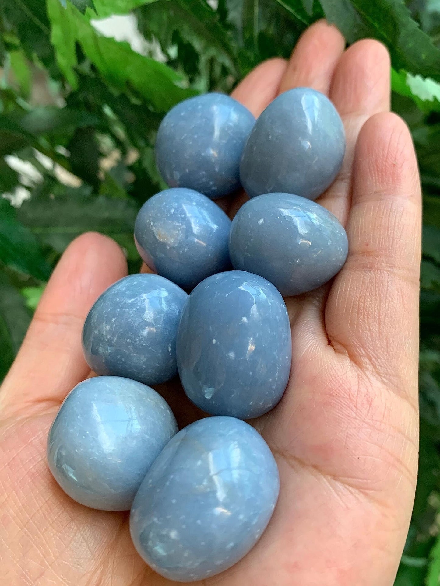 GAF TREASURES 5 Pcs Angelite Tumbled Stones, Polished Angelite Gemstone, Angelite Healing Crystals (Angelite)