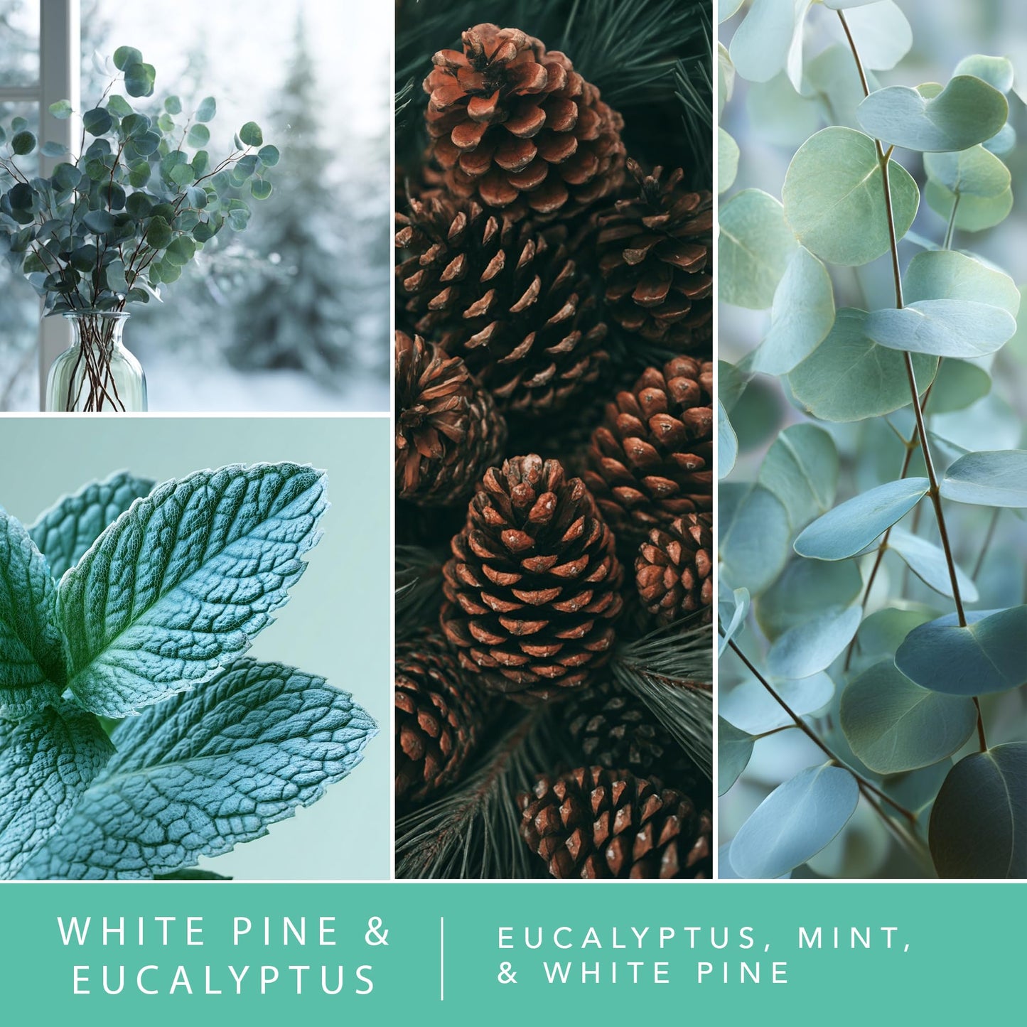 ScentSationals Water-Based Reed Diffuser - White Pine & Eucalyptus - 5 FL OZ Aromatherapy Reed Diffuser
