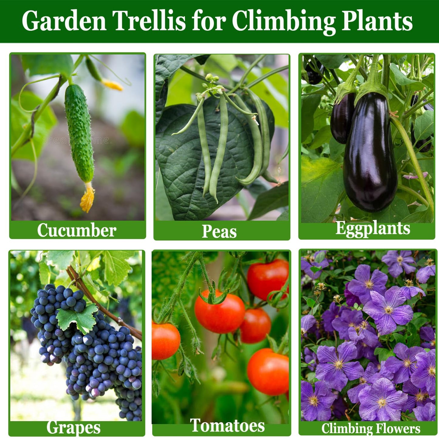 Updated A-Frame Cucumber Trellis for Raised Beds, Adjustable Size Garden Trellis for Climbing Plant Outdoors with Climbing Net and Plant Support Clip for Vegetable Grape Tomato Garden Supplies