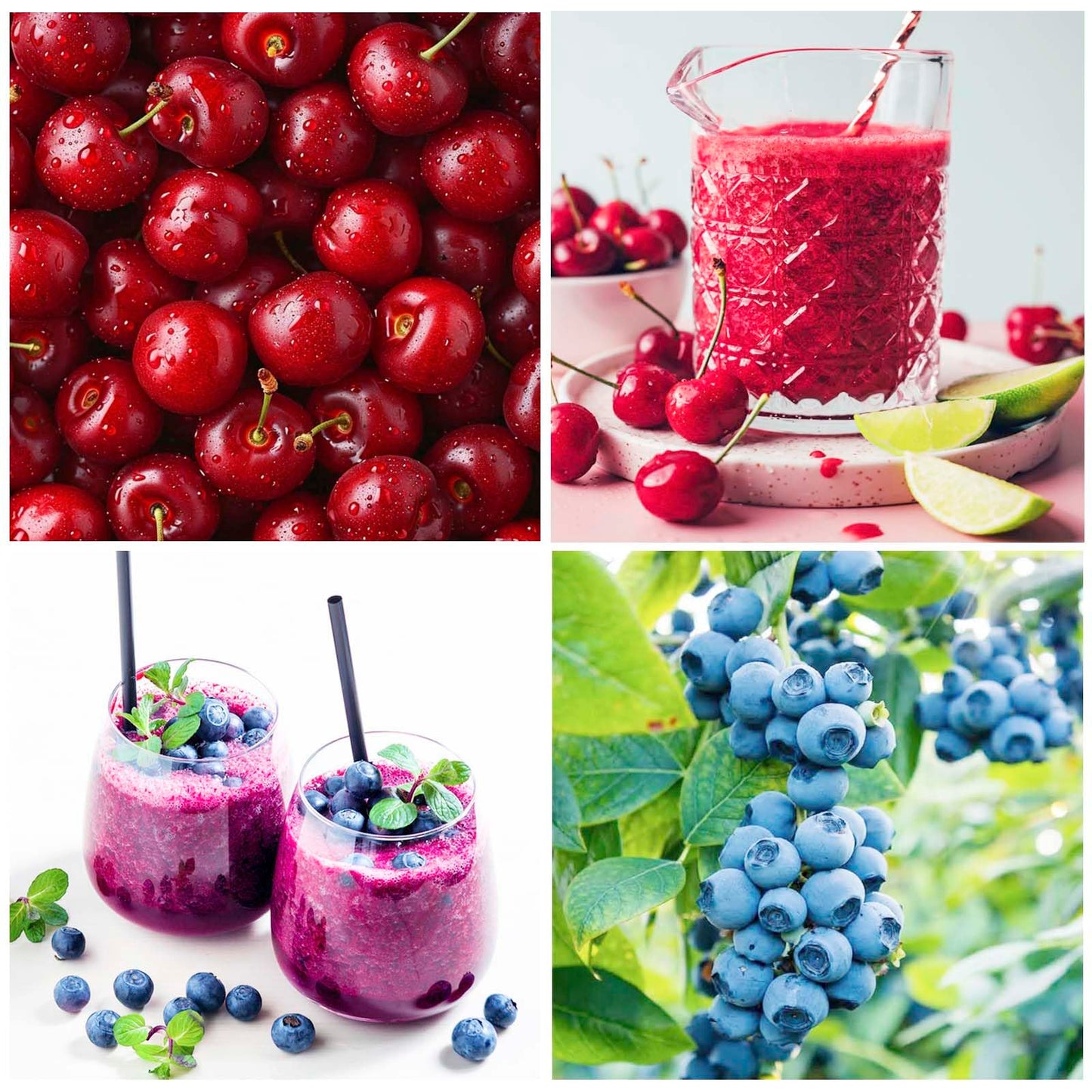 Mixed Fruit Seeds for Planting (6 Varieties) -40 Lemon 10 Cherry 40 Apple 40 Orange 10 Blueberry and 40 Passion Fruit Seeds for Home Garden- Non-GMO Seeds