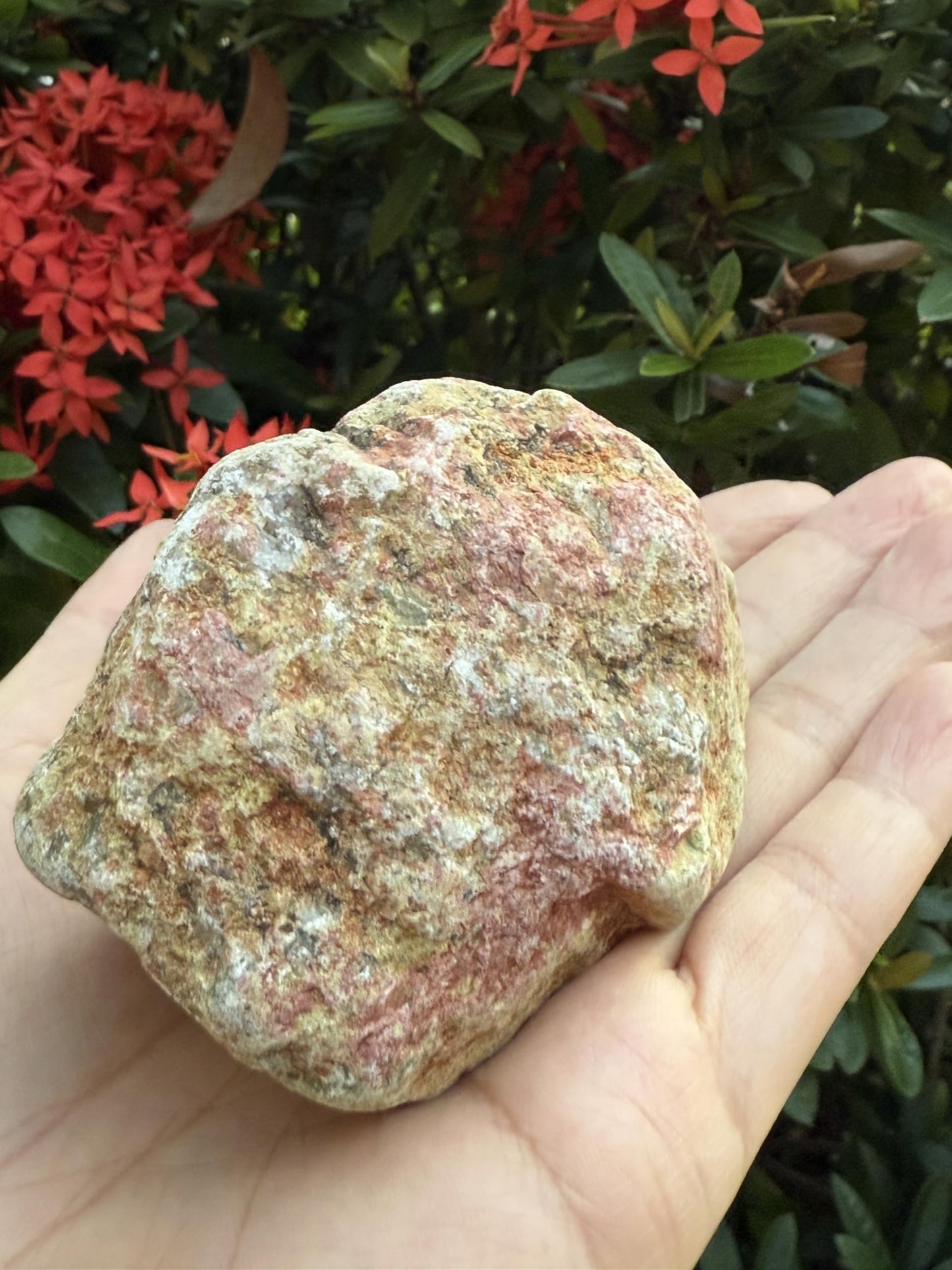 GAF TREASURES XL Raw Unakite, 3-4" Natural Rough Unakite, Unakite Rough, Unakite Healing Rough Crystal (Unakite, 0.5-1 lb)