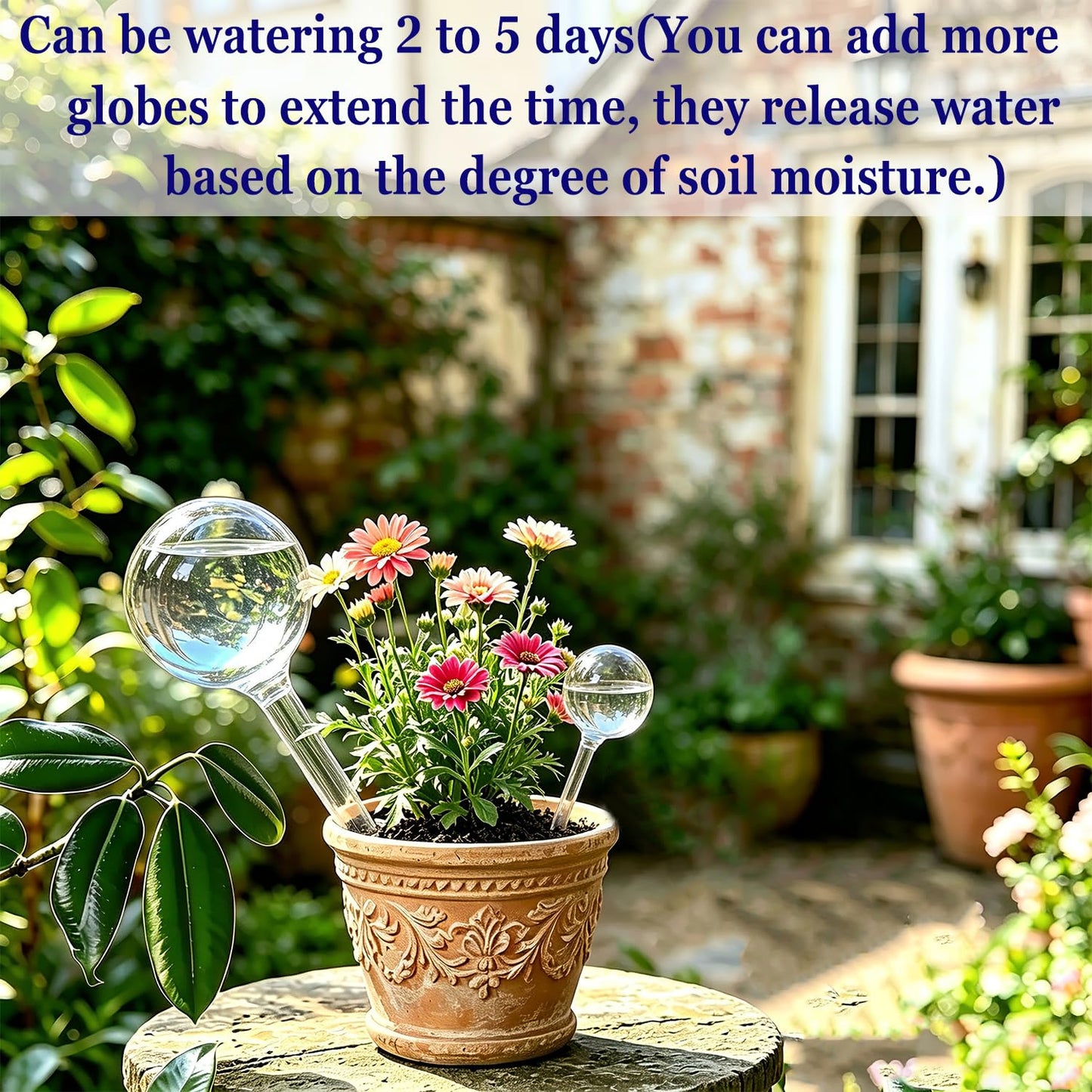 Kingbow 10pcs Plant Self Watering Globes, Clear Plastic Self Watering Bulbs Flower Automatic Watering Stakes Devices, Garden Self Watering Device for Outdoor Indoor Plant