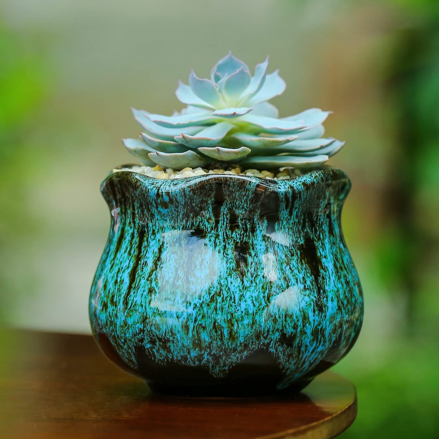 Fulloog Cute Ceramic Succulent Planters, Garden Pots with Drainage and Attached Saucer, Set of 6 - Plants Not Included