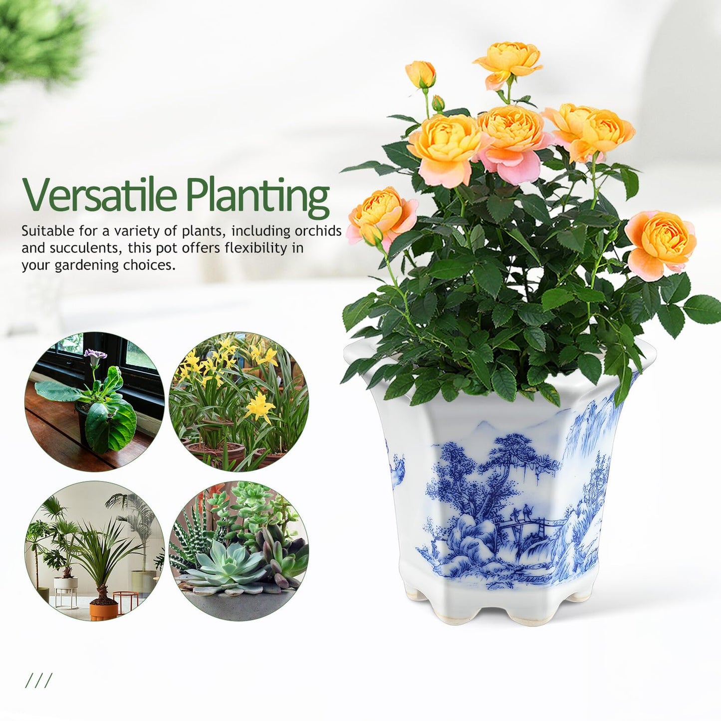 Yardenfun Blue and White Porcelain Planter Pot for Indoor Plants Small Ceramic Succulent Flowerpot Asian Style Oval Home Garden Decor