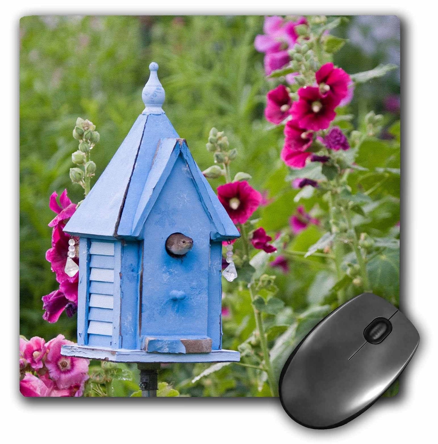 3dRose House Wren At Blue Nest Box Hollyhocks. Marion, Illinois USA. Mouse Pad, 8" x 8" (mp_208432_1)