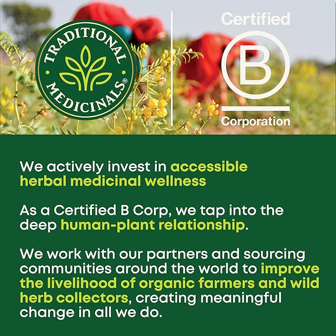 Traditional Medicinals - Organic Lemon Balm Herbal Tea (6 Pack) - Stress Relief & Supports Digestion - 96 Tea Bags Total