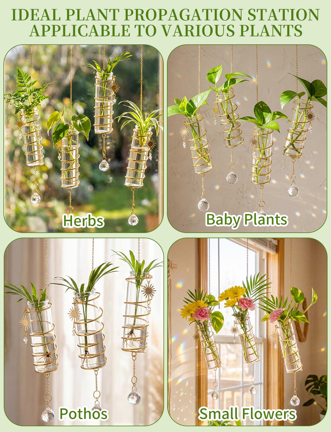 3 Pack Hanging Propagation Station with Crystal Sunshine Catcher Glass Window Propagation Tubes Vases with Gold Metal Chain for Indoor Hydroponics Plants Home Decor