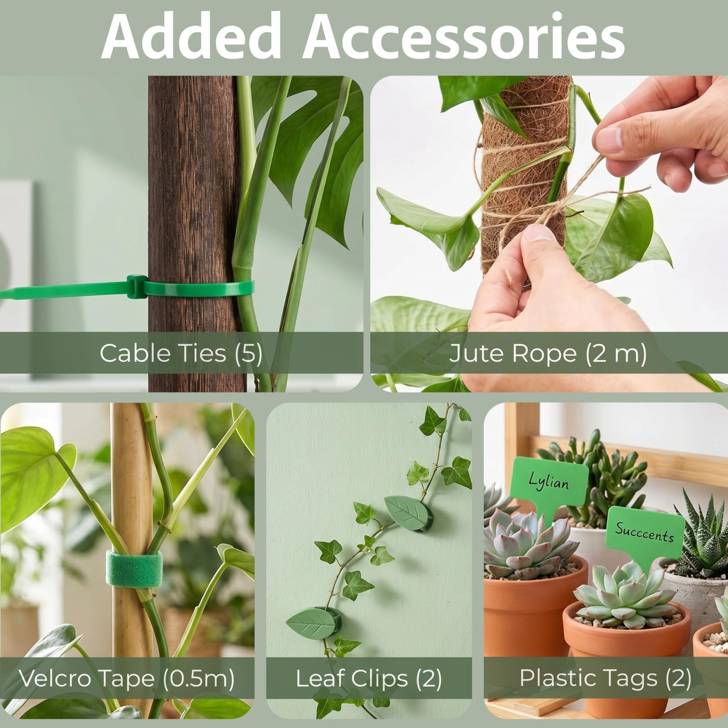 30 Inches Bendable 2 Pack Moss Pole Monstera Plant Support Stakes - Moss Poles for Climbing Plants, Plant Stakes for Indoor Plants - Coco Coir Pole Moss Stick for Monstera, Pothos.