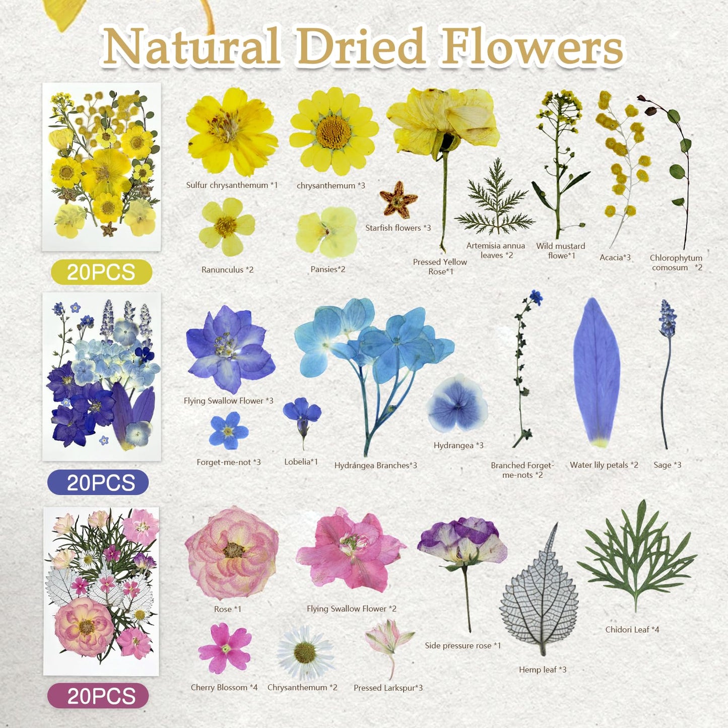 173pcs Dried Flowers for Crafts | Small Pressed Flowers & Real Dry Flowers for Resin | Dried Flowers for Candle Making Set