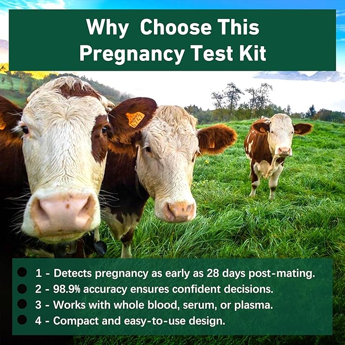 Bovine Pregnancy Test Kit - Includes 2 Tests, Rapid Results in 5-20 Minutes for Dairy & Beef Cows, Whole Blood, Serum & Plasma-Based Tests