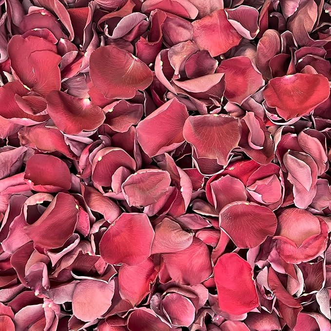 Rose Petals for Wedding Decoration, Bridal Toss, and Aisles, Freeze Dried, Use within 1 month (Burgundy, 30 cups)