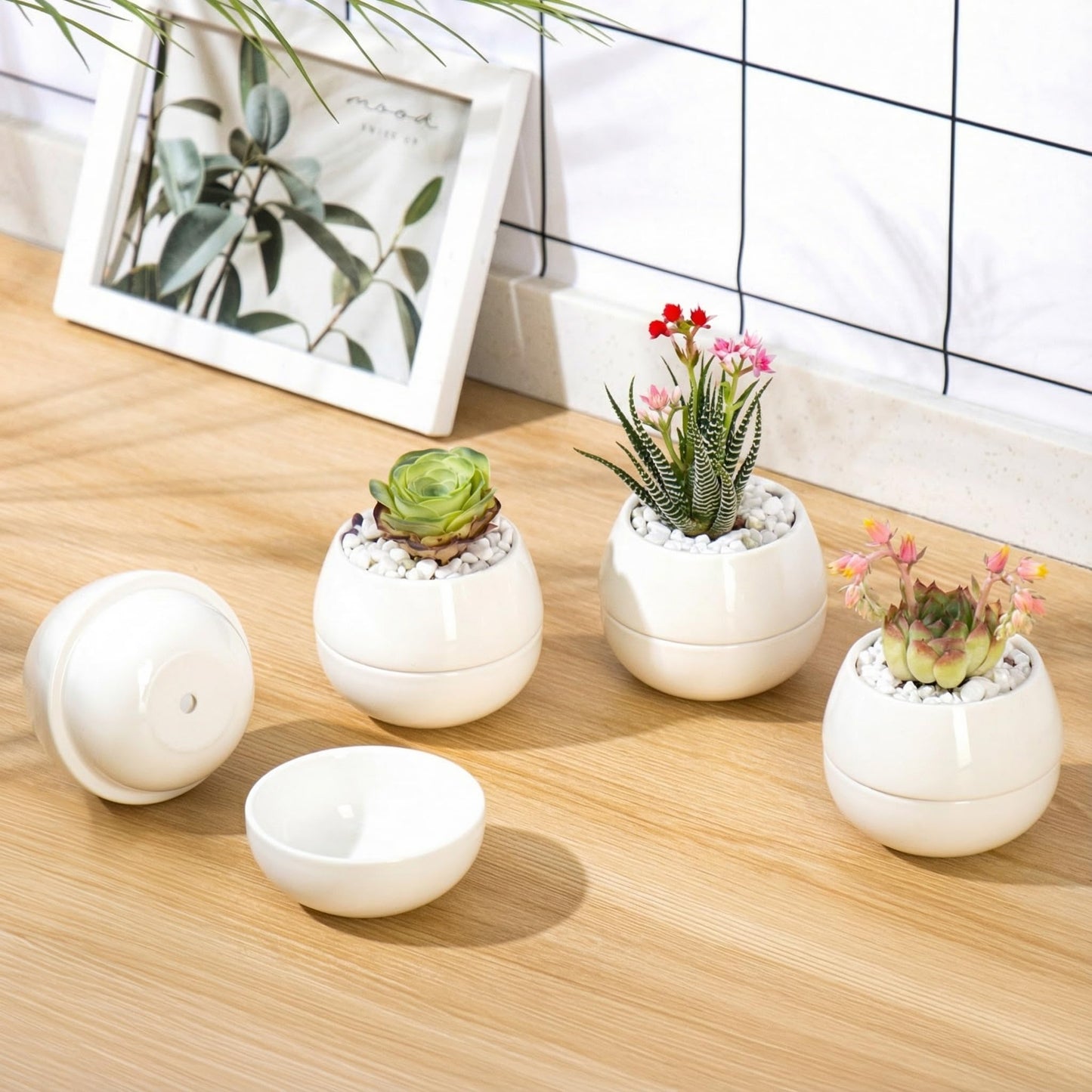 Willowy 3.5 Inch Small Succulent Pots - 3pk, Mini/Small White Ceramic Succulent Pots - No Plants Included