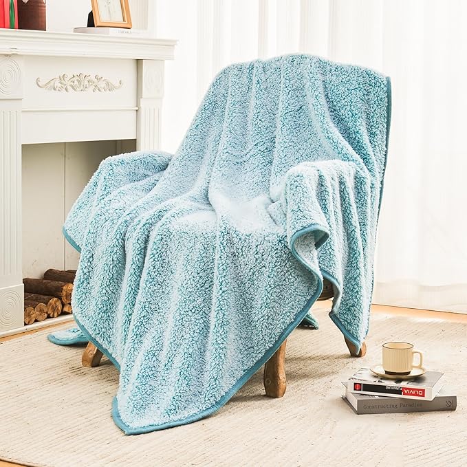 EMME Fuzzy Blanket Soft Fleece Throw Blankets for Women, Fluffy Sherpa Throws(Plush Teal,60"x80")
