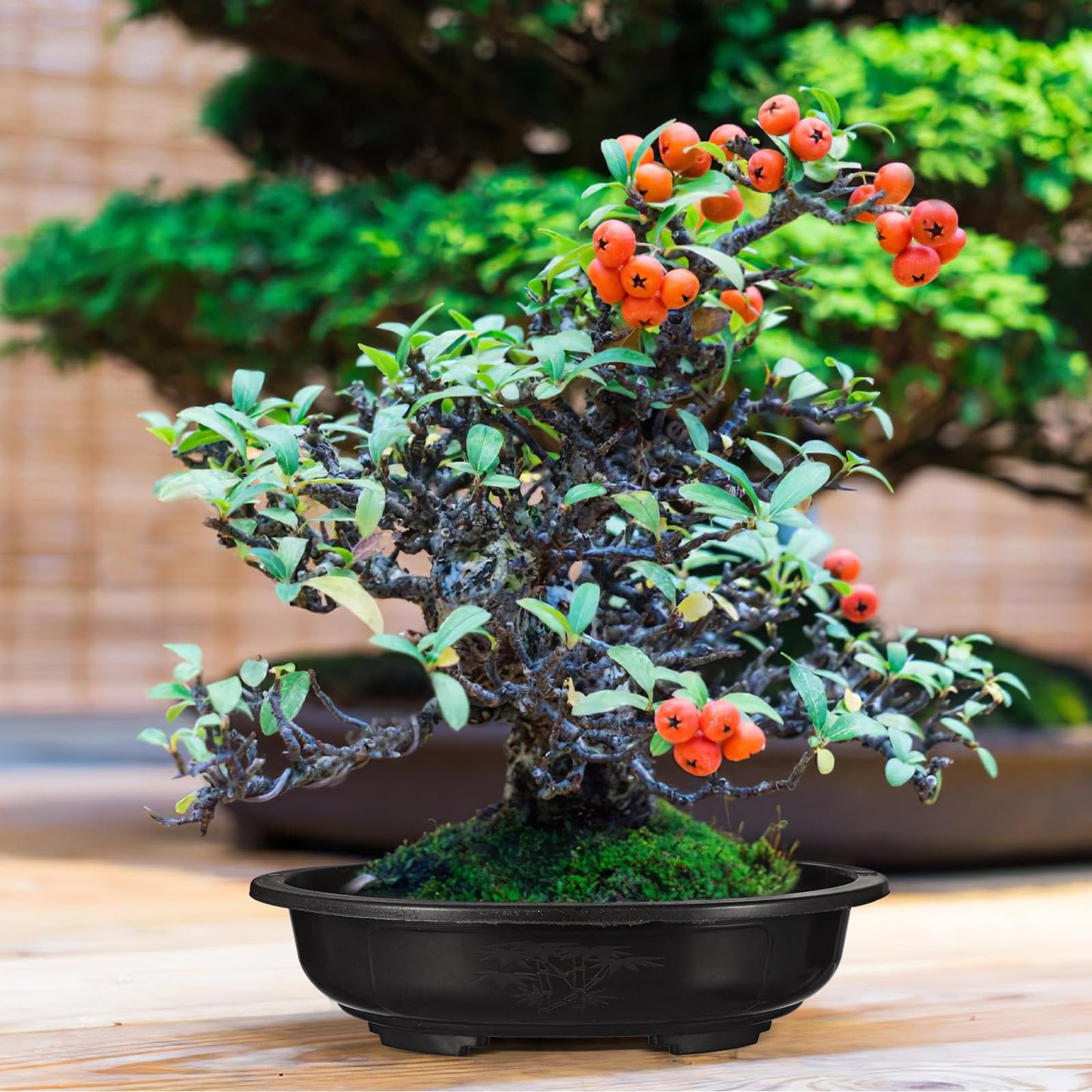 GANAZONO Large Oval Plastic Flower Pot Durable Gardening Planter for Succulents and Green Plants Indoor Outdoor Use Modern Elegant Design