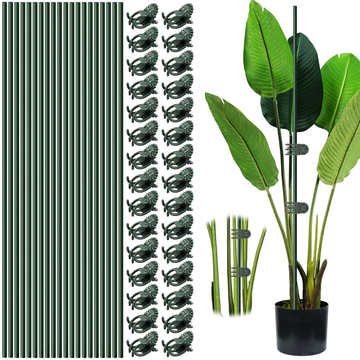 20pcs 15.7" Plant Stakes with 30pcs Clips, Bendable Orchid Stakes and Clips Set Support Tall for Indoor/Outdoor Plants,Potted Plants,Single Stem Vines Flower Plant Support Sticks for Orchid Rose Peony
