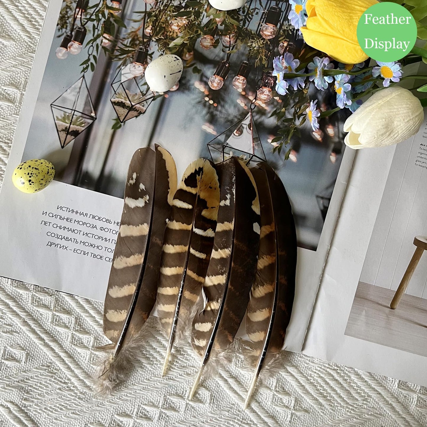 10pcs Natural Spotted Feathers Pheasant Feathers for Craft Clothing Jewelry Accessories Decoration (Small Pheasant Wing Feather 4-6")