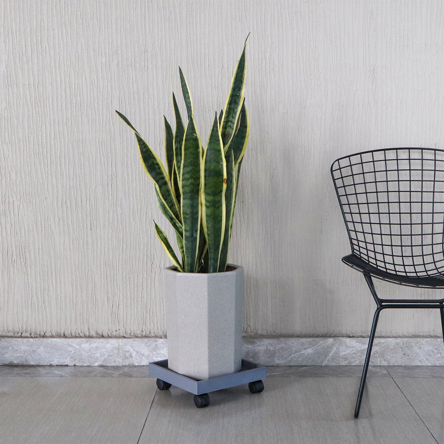 Sanbege Plant Caddy with Wheels, 11" Square Plant Pallet, Plant Pot Trolley (Grey)