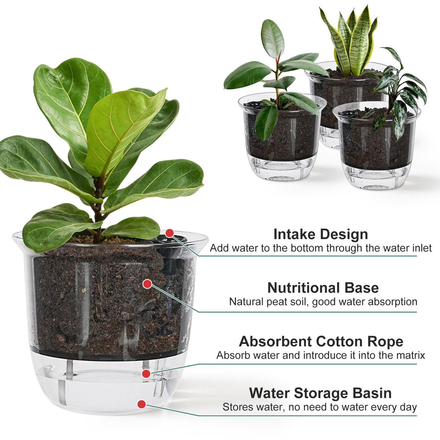 IWNTWY Self Watering Pots, 3 Pack 5 Inch Clear Plant Pot Self Watering Planter Flowers Pot with Deep Reservoir for Indoor Plants (3 Medium)