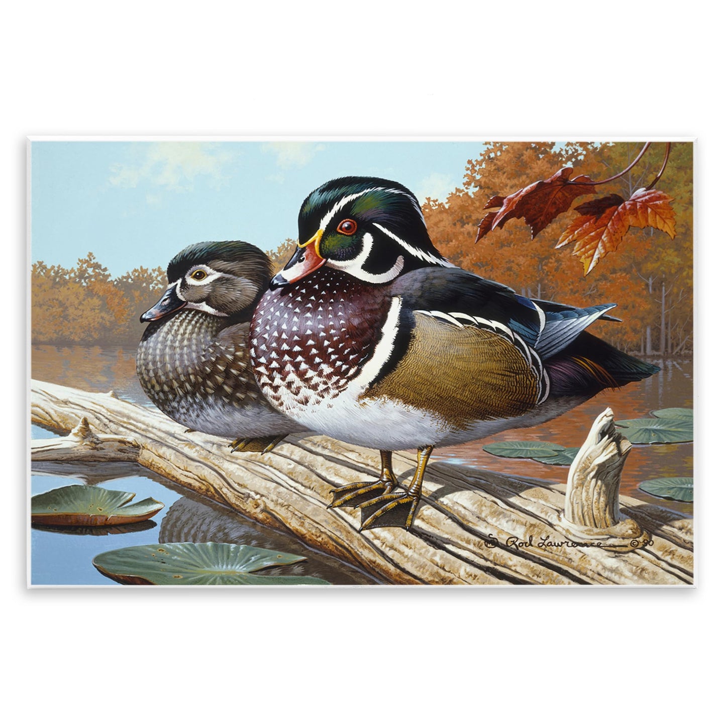 Stupell Industries Duck Pair on Driftwood Wall Plaque Art Design by Rod Lawrence, 19 x 13