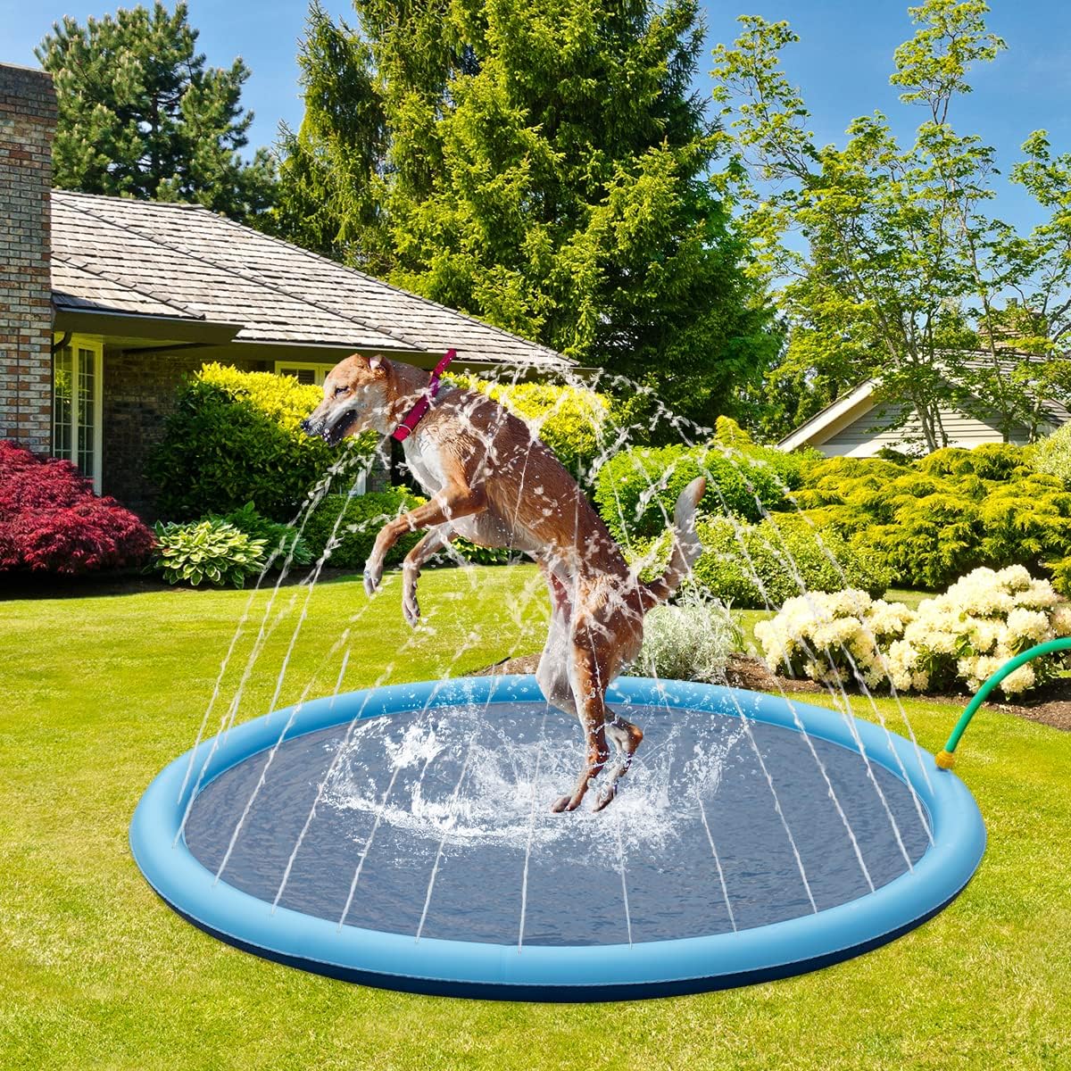 Splash Sprinkler Pad for Dogs - 67" Thicken Pet Swimming Pool Bathtub, 2024 New Packaging Pet Summer Backyard Playset & Water Toys(67",Blue)