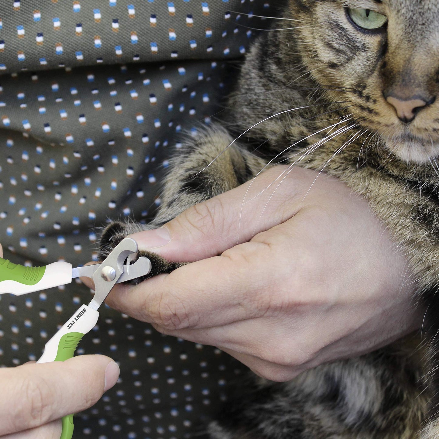 Pet Grooming Tool Bundle Set: Cat Nail Clippers [Tool #4] + Pet Nail Clippers [Tool #5]