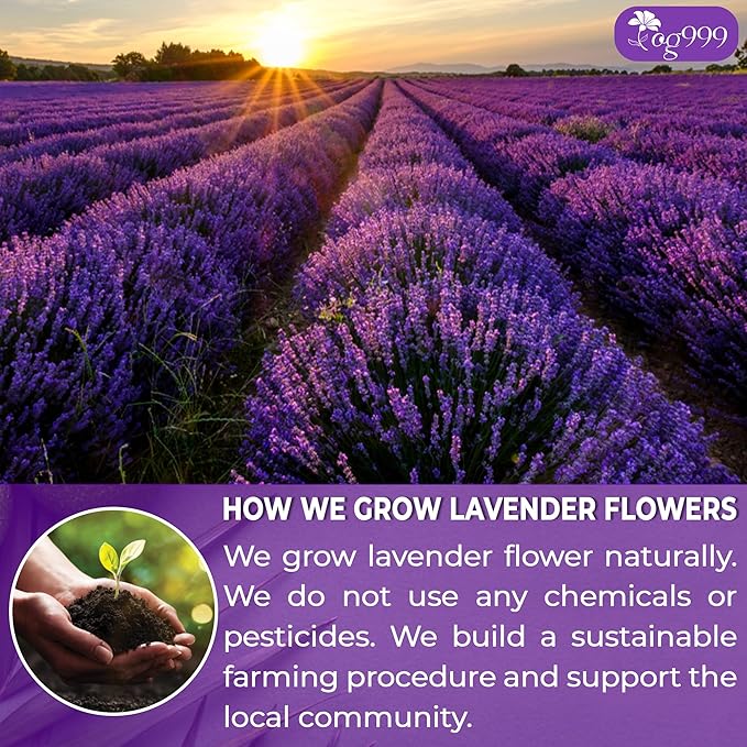 TOG999, Premium 30 Lavender Flower Tea Bags, 100% Natural & Pure. Loose Flower Lavender Herbal Tea. No Sugar, No Caffeine, No Gluten, Vegan.
