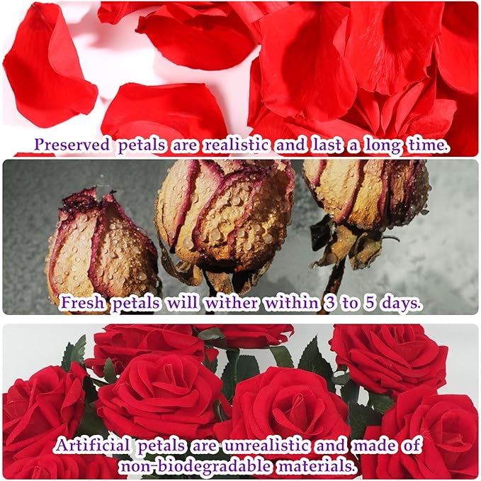 Dried Real Rose Petals, Natural Preserved Dry Flower Petals for Wedding Party Dinner Table Decor, Romantic Night for Her Set, Engagement, Bridal Shower, Valentine's Day, Confetti (1.4oz, Red)