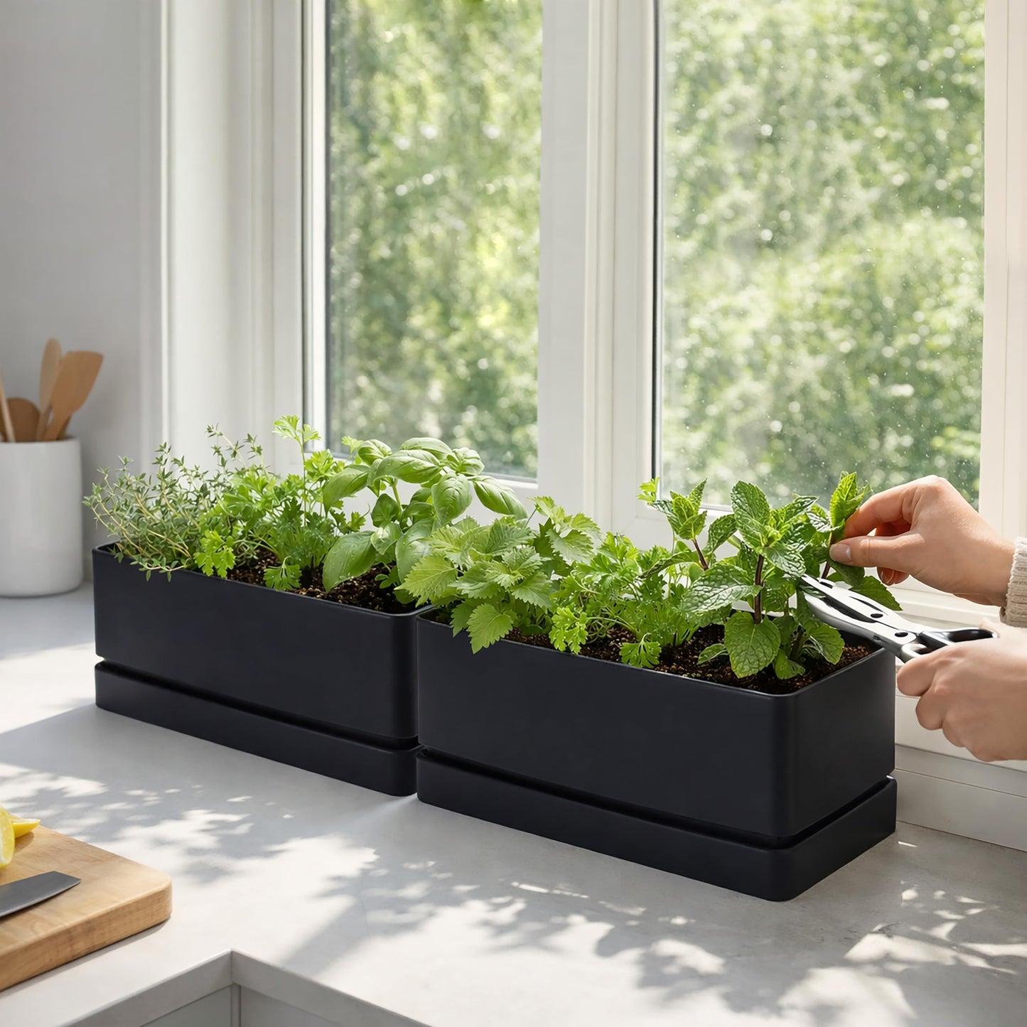 D'vine Dev 12" x 6.5" Window Box Planter, Rectangular Plastic Herb Planter with Drainage Holes & Saucer, Succulent, Cactus & Vegetable Pot for Windowsills/Balconies, Black, Set of 2, 76-P-B-2