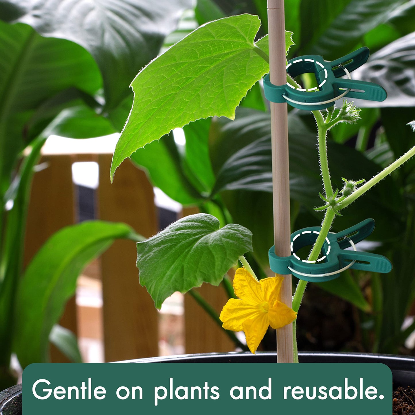 Gardzen 80 Pcs Garden Plant Clips, Plant Support Clips for Securing Stems, Flowers or Climbing Vines to Tomato Cages, Trellis