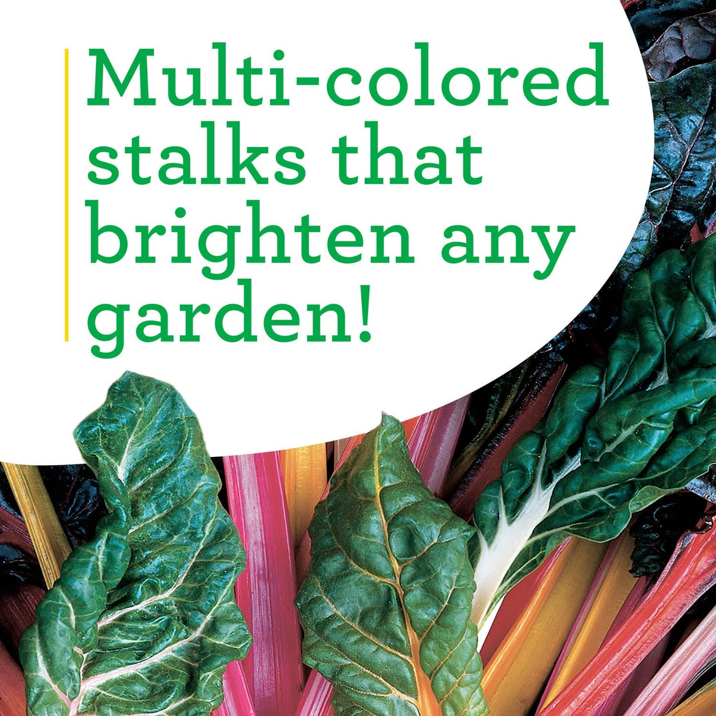 Bonnie Plants Swiss Chard 19.3 oz. 4-Pack