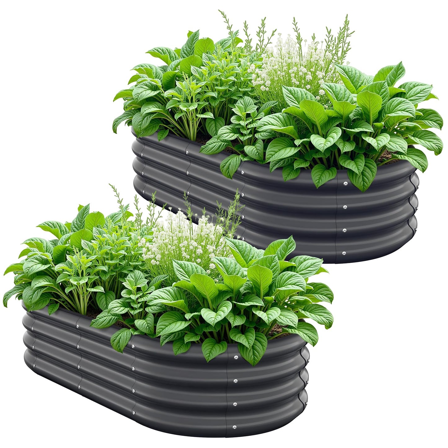 Anmiro Galvanized Steel Raised Garden Beds, 4x2x1ft-2PCS for Lightweight Planter Boxes Outdoor with Easy Assembly, Oval Large Gardening Box for Vegetables, Fruits, Flower,Black