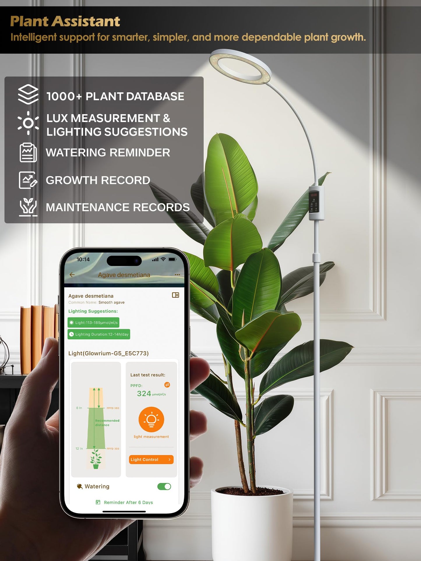 Smart Grow Lights for Indoor Plants, Plant Light with Auto-Timer, Full Spectrum LED Grow Light, Adjustable Height & Stepless Dimming,Plant Assistant Suitable for Most Plants (White, Single Head)