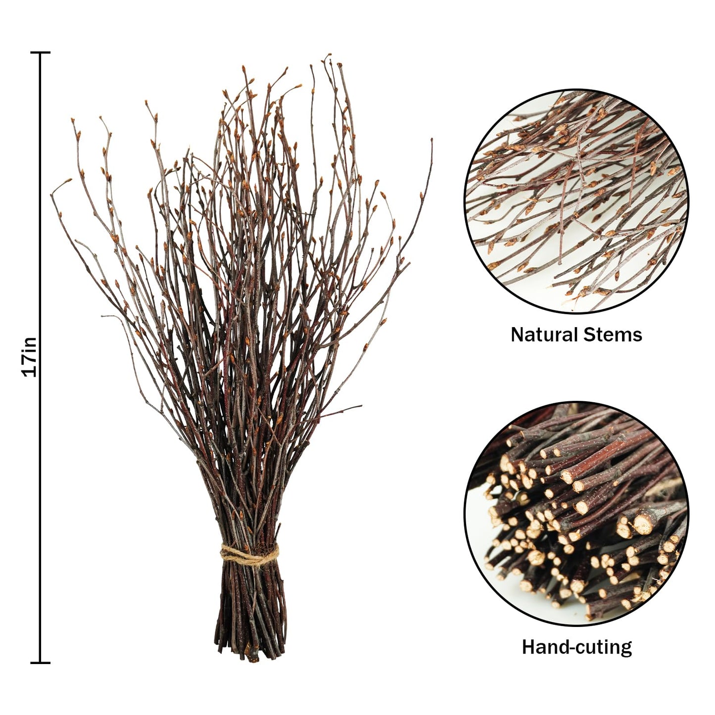 Ruidazon 200 Pcs Real Dried Birch Branches, 17 Inch Natural Birch Twigs Tall Birch Tree Sticks for Decorative Vases, Crafts, DIY Floral Arrangements Wreath Wedding Centerpiece Home Decor