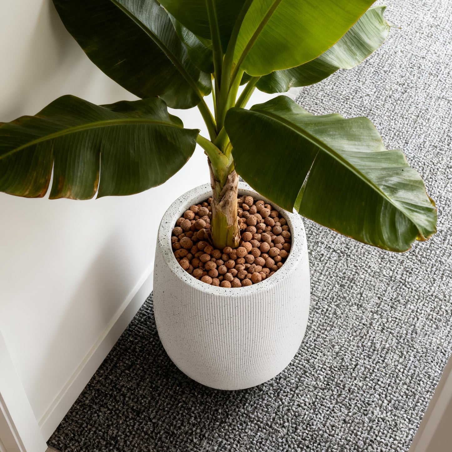 Worth Garden White Large Round Planter, 9" Dia x 13" H Lightweight Magnesium Oxide Cement Plant Pot with a Striped Textured Finish, Raised Pattern Concrete Look, Drainage Hole, Indoor & Outdoor Use