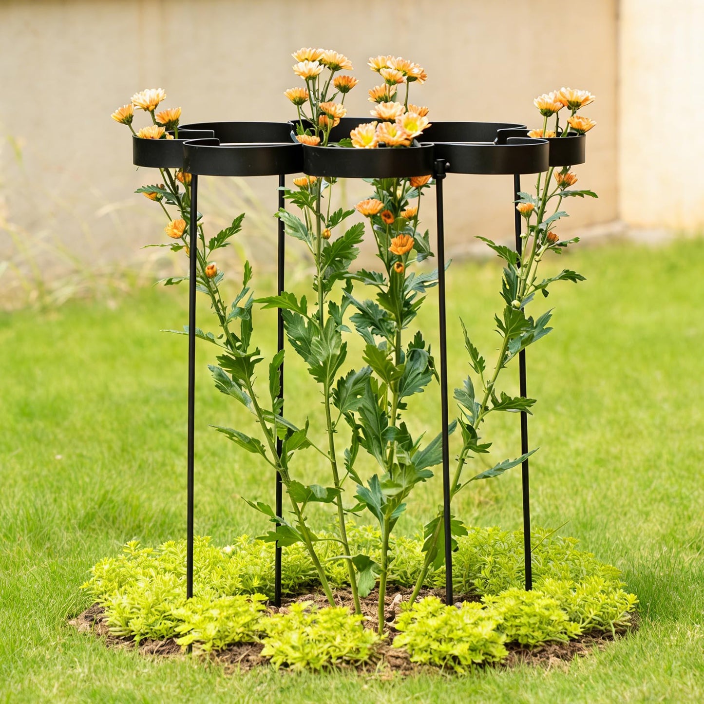 GOOOXIM 25" Peony Cages and Supports - Elegant Black Modern Flower Support Stakes for Peonies & Dahlias - Designed for Stability & Growth - Perfect for Gardens & Patios