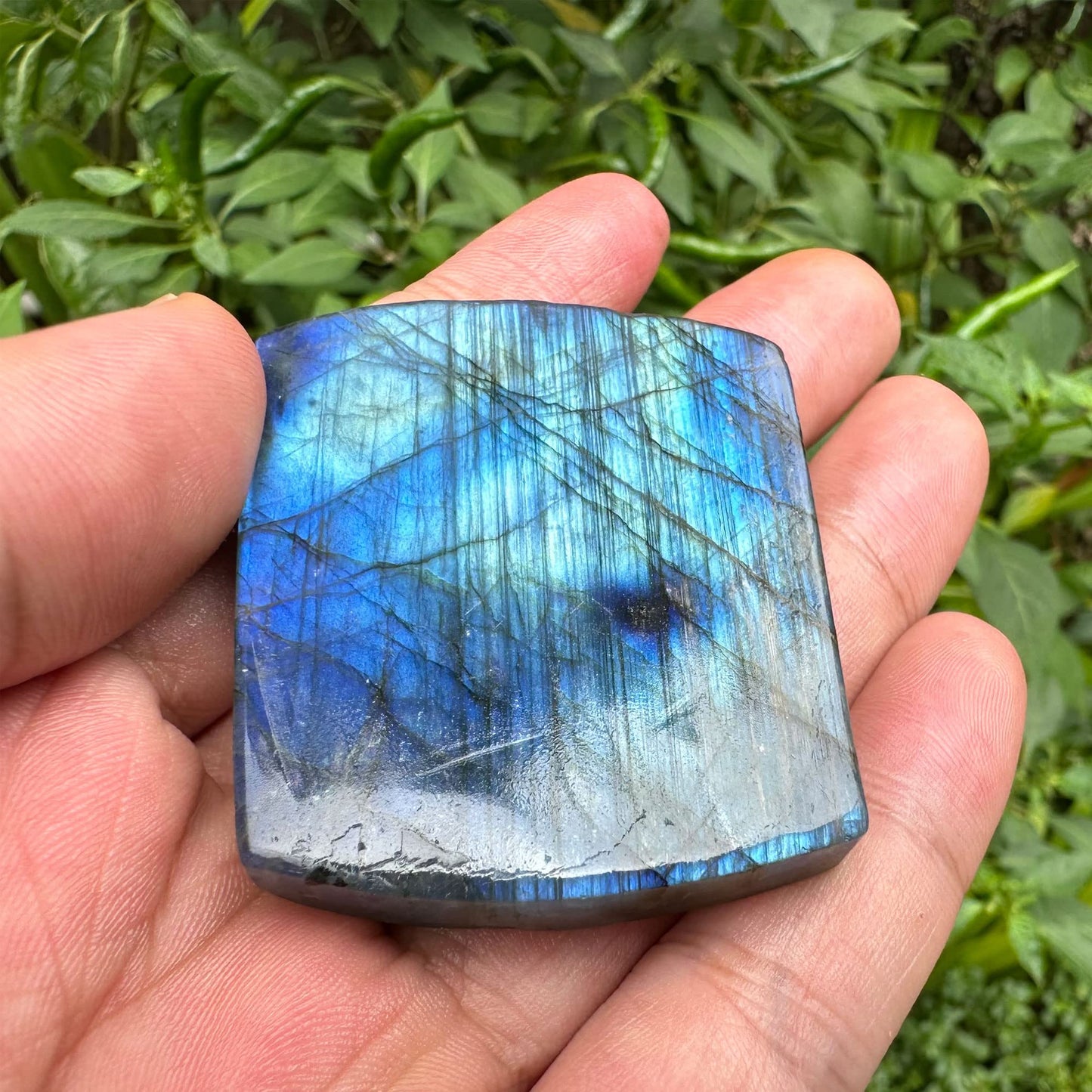 TEAMWILL Natural Labradorite Crystal Quartz Hand Carved Fly Dragon Reiki Healing Crystal Gorgeous Art Sculpture Stone Statue Figurine Minerals Gifts