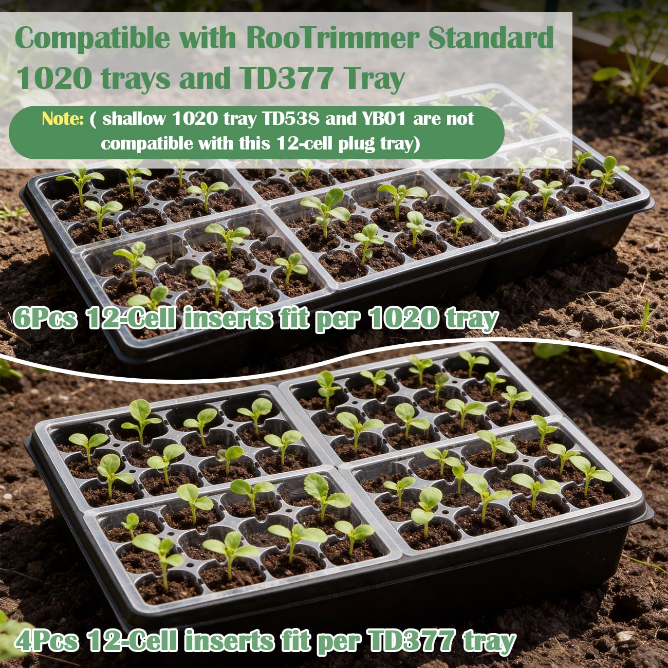 RooTrimmer 60 Pack Reusable 12-Cell Clear Seed Starter Trays - Extra Large Drainage Holes, Easy to Repotted, Clear Transparent Tray for Root Observation, Seed Starting, Fits Standard 1020 Trays