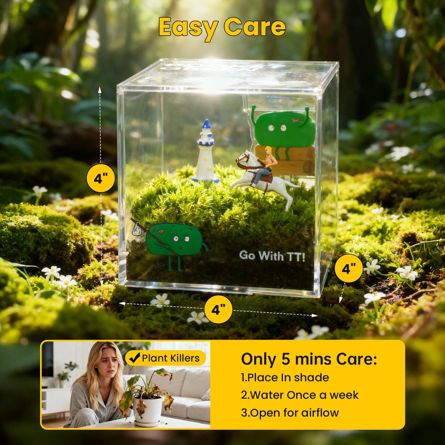 DIY Moss Terrarium Kit, 4 * 4 * 4 inch Acrylic Cube Mini Garden with Live Star Moss, Soil, Boundless Fortune-Craft Kit for Adults and Teens, Relaxing Desk Decor & Unique Gift for Home or Office