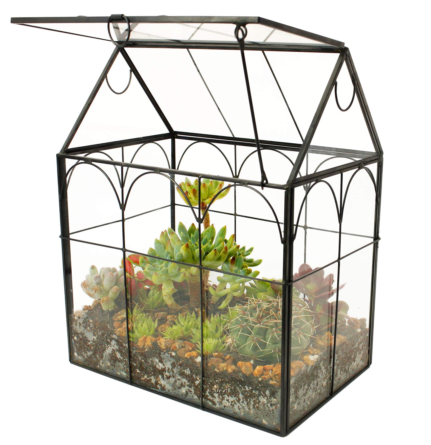 ELEGANTLIFE Glass Geometric Plant Terrarium,Succulent & Air Planter for Home Garden Office Decoration (Black House)