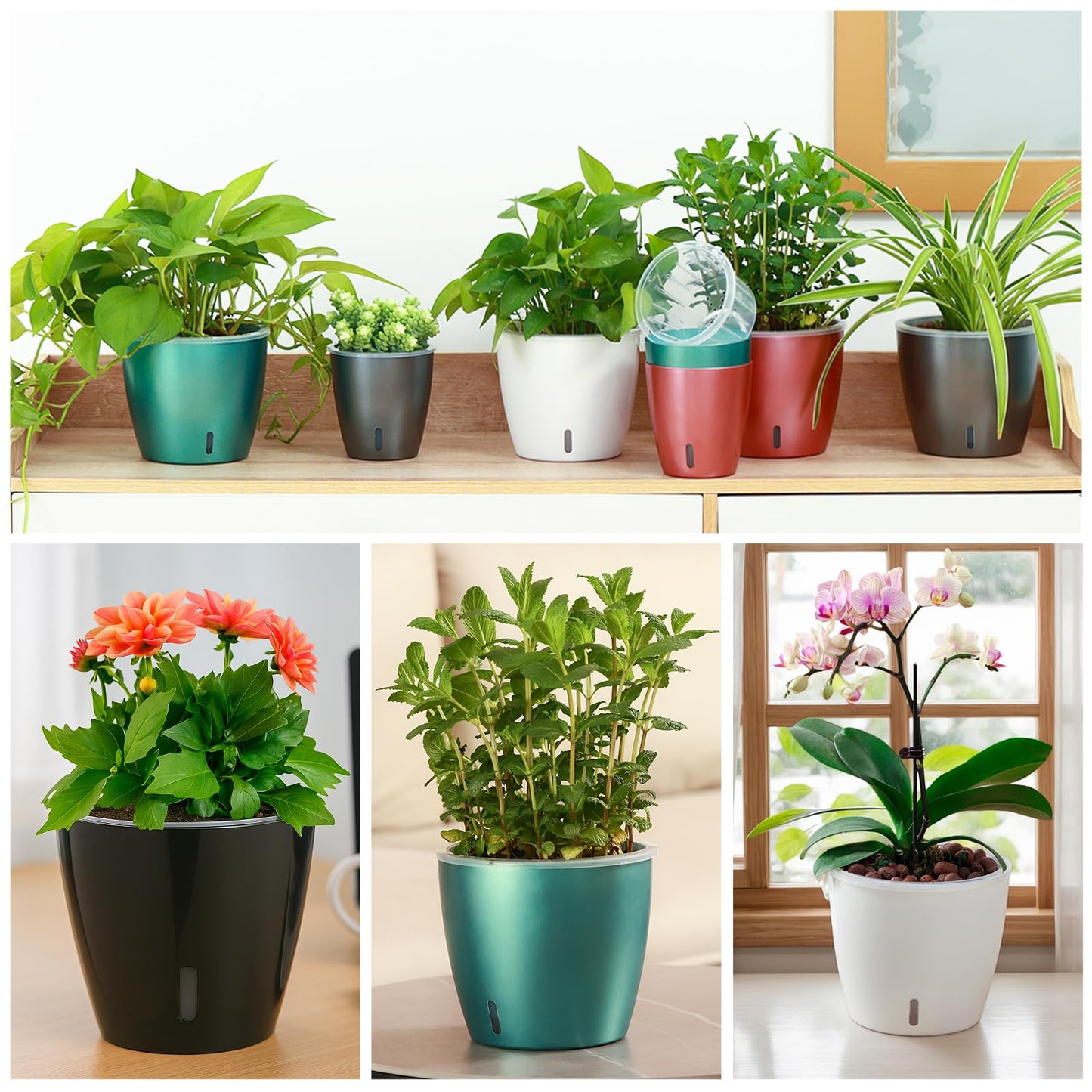KvyusFlourish Self Watering Pots for Indoor Plants, 4-Pack 6.7'' Self Watering Planter with Drainage Holes, Small African Violet Pots with Water Indicator, Clear Wick Orchid Pot, Rose Gold