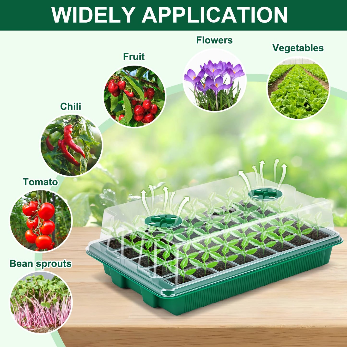 5 Pack Seed Starter Tray Seed Starter Kit (200 Cells Total Tray) with Adjustable Humidity Dome, Plant Germination Trays, Seed Starting Trays Mini Greenhouse Germination Kit for Seeds Growing Starting