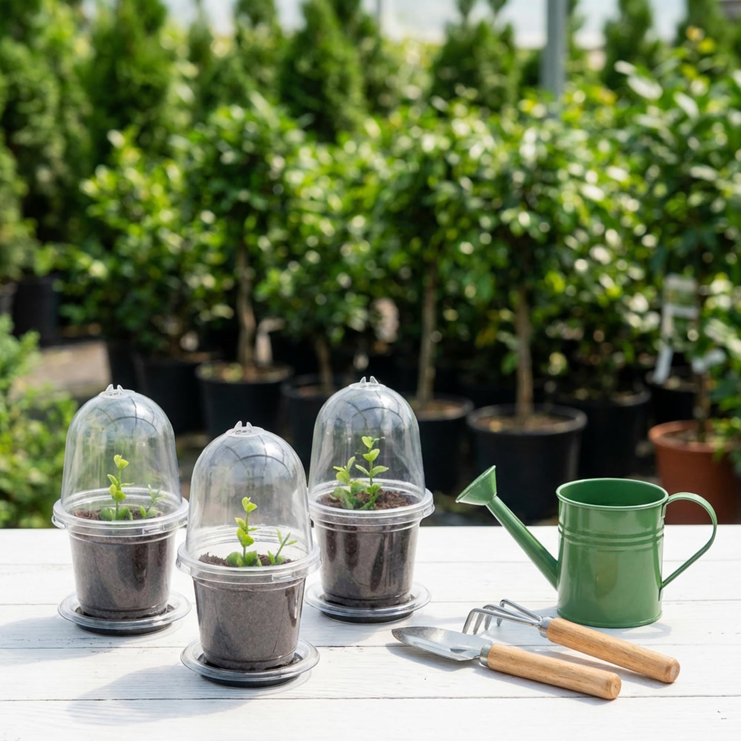 EBaokuup 10 Pack Self Watering Seed Starter Pot, 6.5 x 3.5 Inch Automatic Watering Plant Nursery Pots with Humidity Dome, Self Watering Nursery Pots for Potted Plants Seed Germination