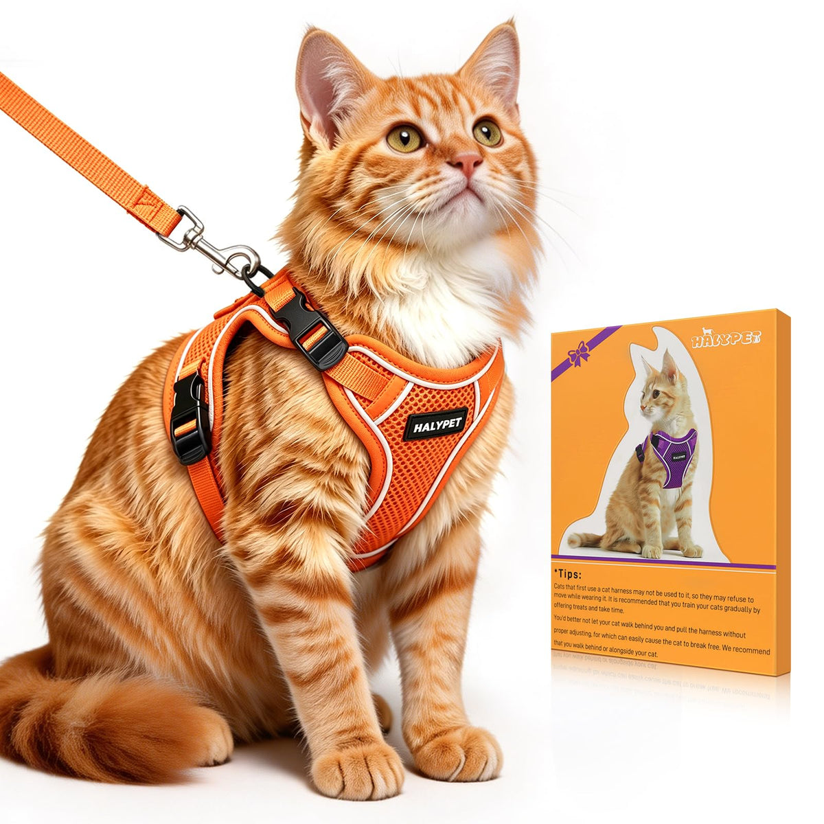 Cat Harness and Leash Set,Escape Proof Kitten Harness,Orange