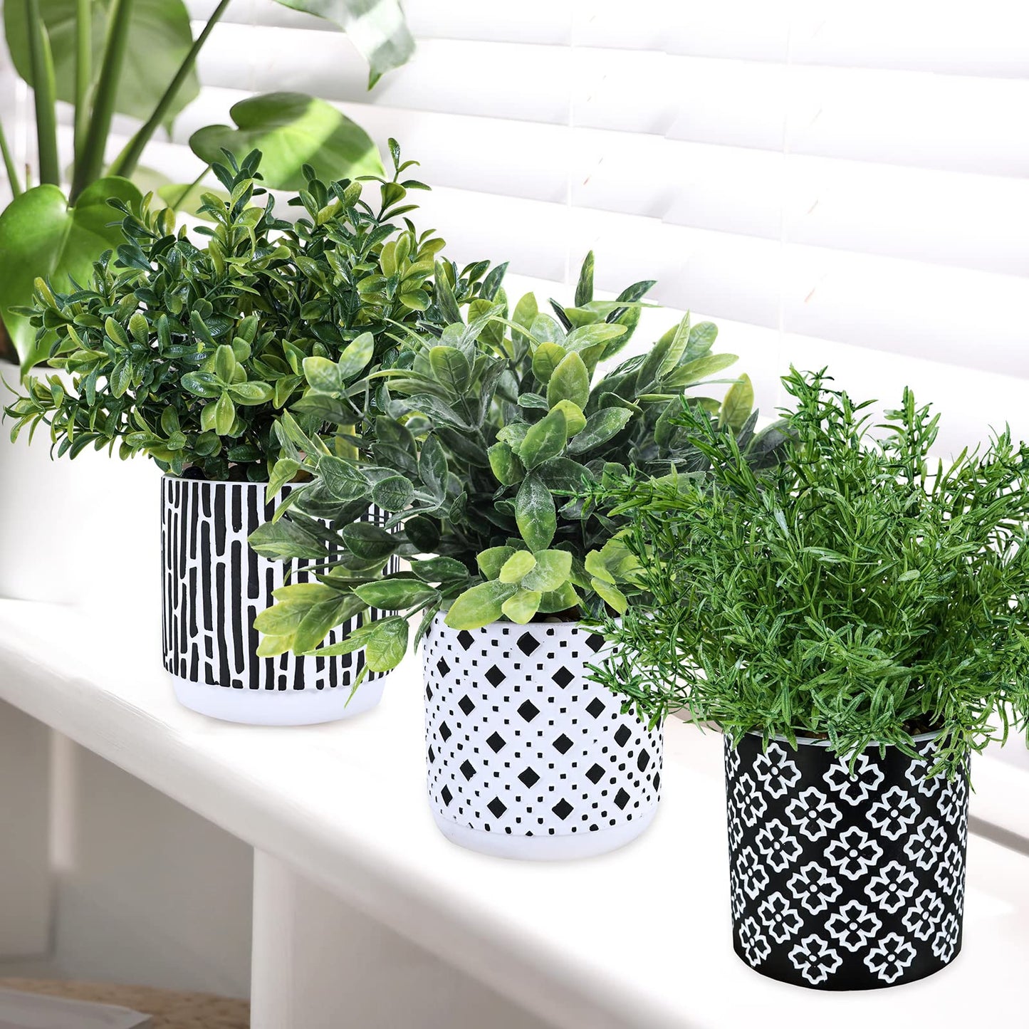 Winlyn 3-Pack Artificial Potted Plants - Faux Eucalyptus, Rosemary, Boxwood Greenery in Small Black & White Geometric Concrete Pots -Desk, Table, Shelf, Windowsill Decor for Indoor Outdoor Home Office