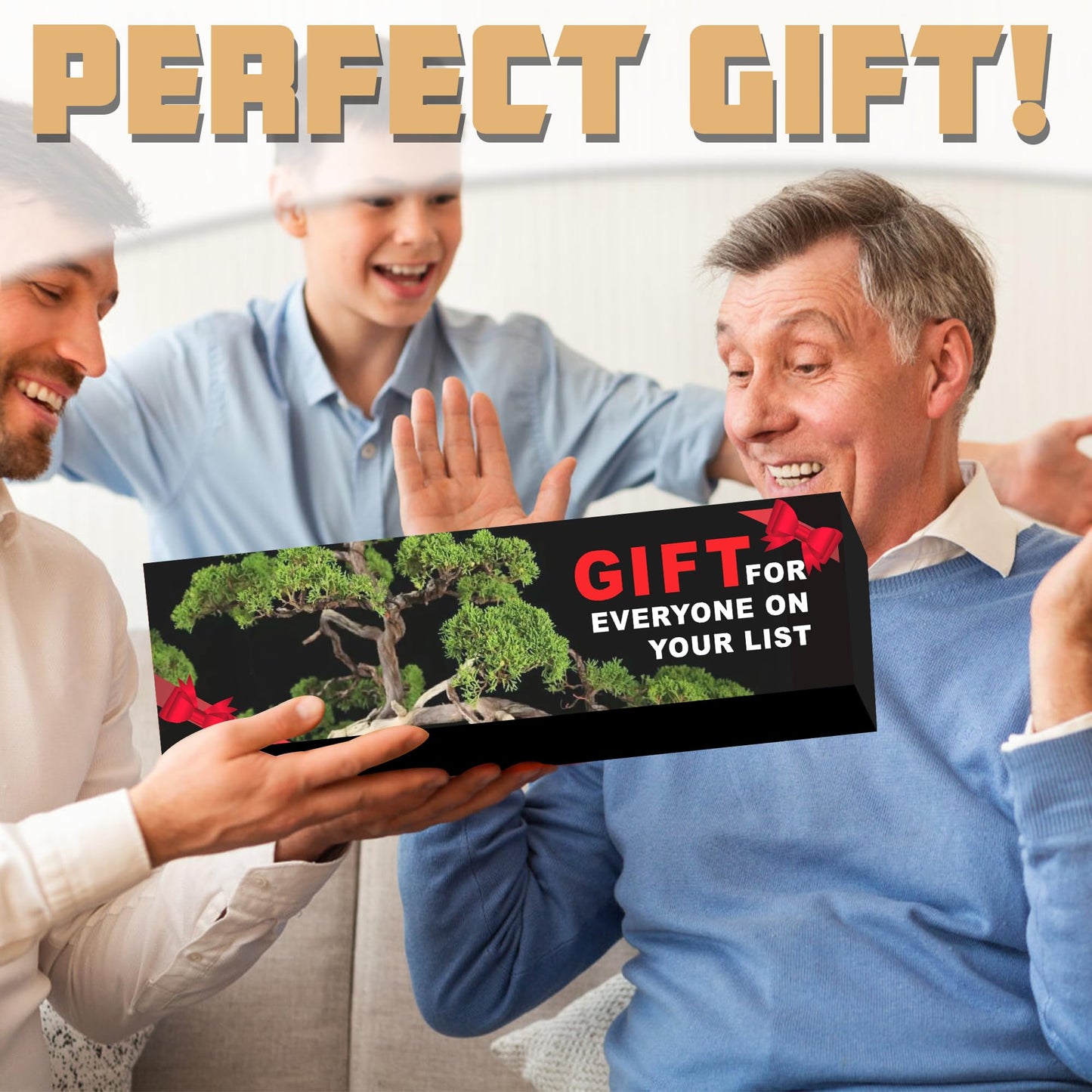 Sproutix Indoor Bonsai Garden Starter Kit, 5 Seeds Growing into Red Maple, Wisteria, Black Pine, Judas Tree, Acacia, Including Complete Gardening Planters & A Planter Box for Women
