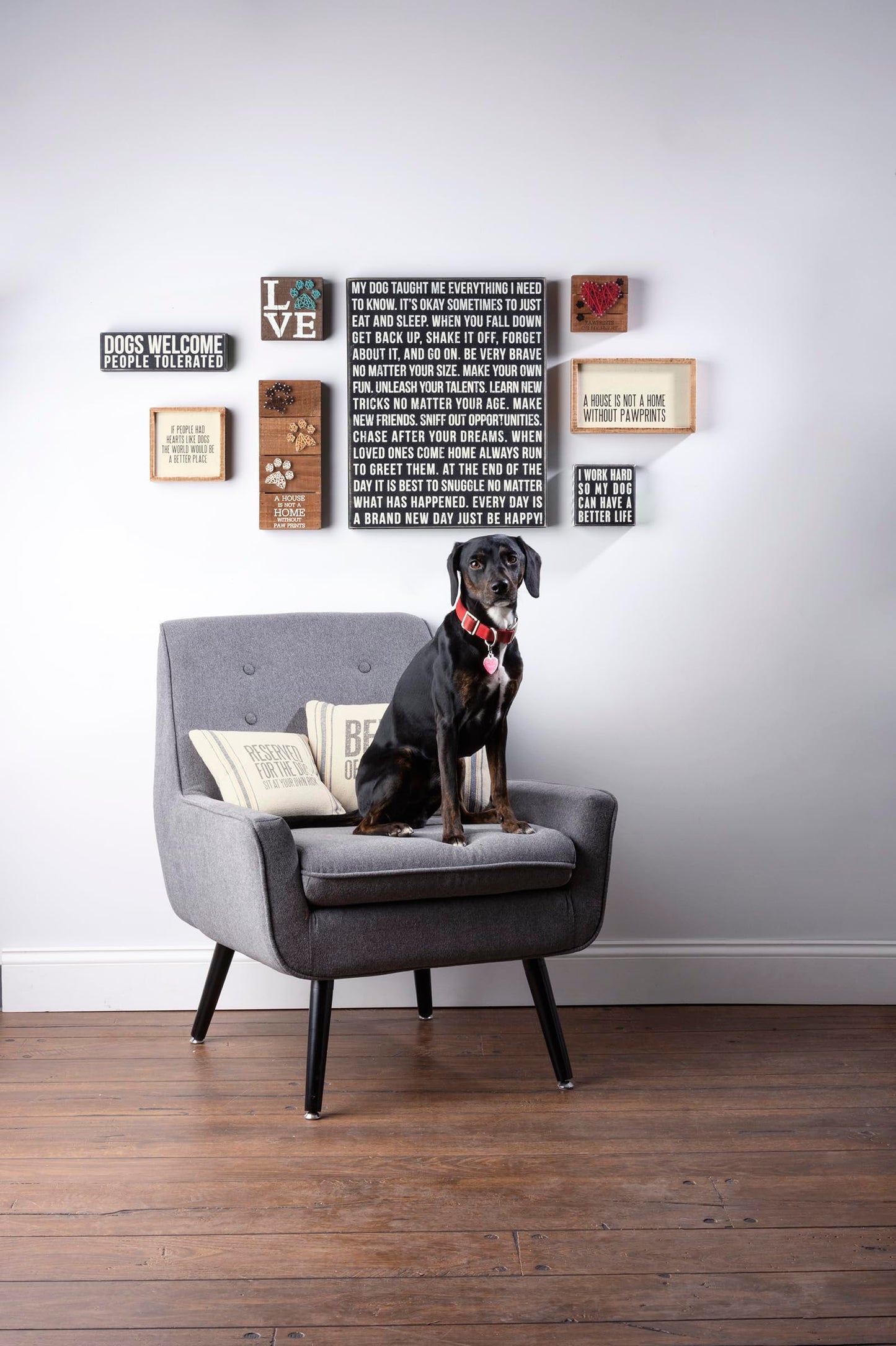 Primitives by Kathy Rustic Wooden Decor Sign - 'Dogs Welcome, People Tolerated' - Office/Farmhouse Decor, Dog Lovers Gift, 5"
