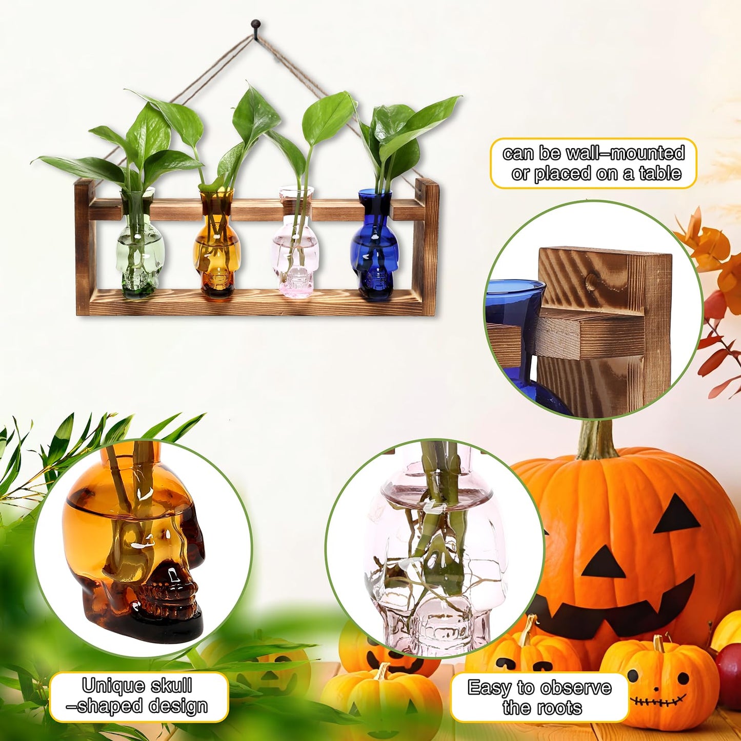 CYZglass Plant Propagation Stations Halloween Skull Plant Terrarium Kit Glass Vases Gift for Father Air Planter Home Office Decor