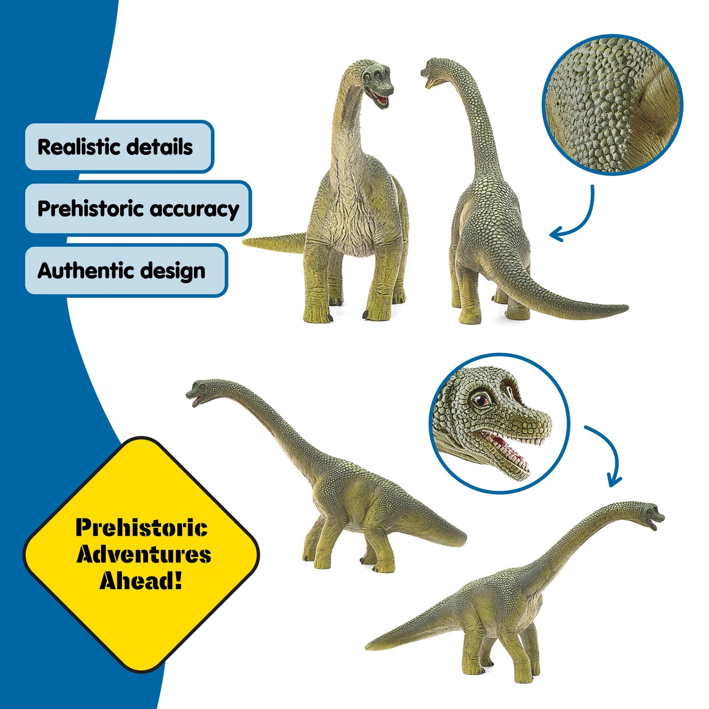 Schleich Dinosaurs - 9.5" Brachiosaurus - Realistic, Durable Green Dinosaur Toy - Educational Fun Long Neck Dino Figurine for Boys and Girls - Montessori Figures for Kids Ages 4+ | 14581